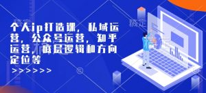 个人ip打造课，私域运营，公众号运营，知乎运营，底层逻辑和方向定位等-虚拟资源库