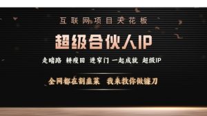 互联网项目天花板，超级合伙人IP，全网都在割韭菜，我来教你做镰刀【仅揭秘】-虚拟资源库