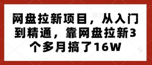 网盘拉新项目,从入门到精通,靠网盘拉新3个多月搞了16W-虚拟资源库