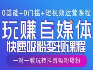 0基础+0门槛+短视频运营课程，玩赚自媒体快速吸粉变现课程，一对一教玩转抖音吸粉爆粉-虚拟资源库