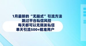 1月最新的无脑式引流方法,跳过平台私信风控,每天都可以无限发私信,单天引流500+精准用户-虚拟资源库