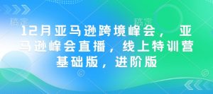 12月亚马逊跨境峰会， 亚马逊峰会直播，线上特训营基础版，进阶版-虚拟资源库