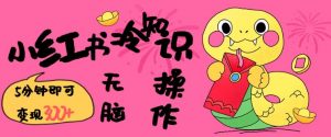 小红书冷知识账号，无脑复制粘贴，5分钟即可变现3张-虚拟资源库