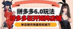 拼多多虚拟商品暴利6.0玩法，轻松实现月入过W-虚拟资源库