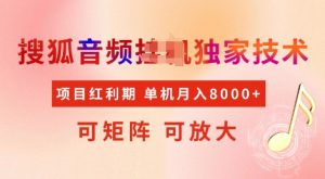 全网首发搜狐音频挂JI独家技术，项目红利期，可矩阵可放大，稳定月入8k【揭秘】-虚拟资源库