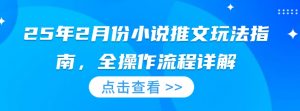 25年2月份小说推文玩法指南，全操作流程详解-虚拟资源库