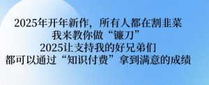 2025年开年新作,所有人都在割韭菜,我来教你做“镰刀” 2025让支持我的好兄弟们都可以通过“知识付费”拿到满意的成绩【揭秘】-虚拟资源库