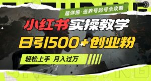 2月小红书最新日引500+创业粉实操教学【超详细】小白轻松上手，月入1W+，附小红书养号起号SOP-虚拟资源库