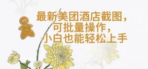 【轻云】最新美团酒店截图，可批量操作，小白也能轻松上手-虚拟资源库