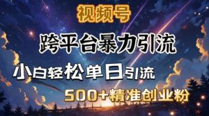 跨平台暴力引流，私域完美闭环，日引500+精准创业粉-虚拟资源库