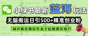 小绿书无脑搬运引流，全自动日引500精准创业粉，微信生态内又一个闷声发财的机会-虚拟资源库
