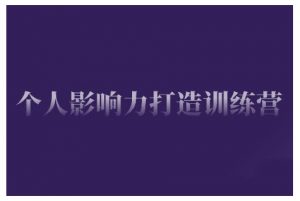 个人影响力打造训练营，掌握公域引流、私域运营、产品定位等核心技能，实现从0到1的个人IP蜕变-虚拟资源库