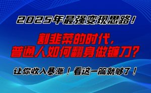 2025年最强变现思路，割韭菜的时代， 普通人如何翻身做镰刀？【揭秘】-虚拟资源库