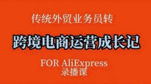 跨境电商速卖通运营课，​运营方法论+后台实操，逻辑清晰-虚拟资源库