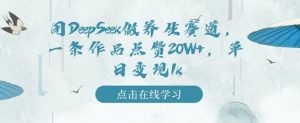 用DeepSeek做养生赛道，一条作品点赞20W+，单日变现1k-虚拟资源库
