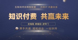 别人苦寻无果，为何他们靠知识付费卖项目 2025 年轻松年入100个?【揭秘】-虚拟资源库