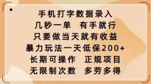 手机打字数据录入,几秒一单,有手就行,只要做当天就有收益,暴力玩法一天低保2张-虚拟资源库