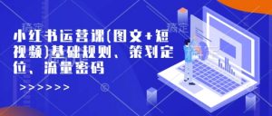 小红书运营课(图文+短视频)基础规则、策划定位、流量密码-虚拟资源库