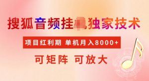 首发搜狐音频挂JI，项目红利期，可矩阵可放大，稳定月入5k【揭秘】-虚拟资源库