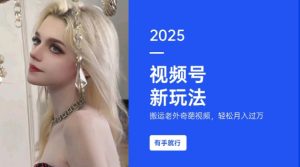 搬运老外奇葩视频，撸视频号分成计划收益，每天只需一小时，新手小白轻松月入过W-虚拟资源库
