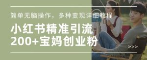 小红书混剪日引200+宝妈创业粉，简单无脑操作，多种变现详细教程-虚拟资源库