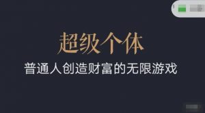 超级个体2024-2025翻盘指南，普通人创造财富的无限游戏-虚拟资源库
