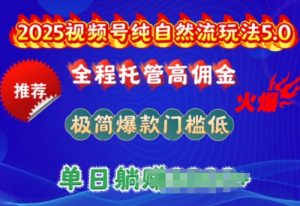 2025视频号纯自然流玩法5.0,全程托管高佣金,极简爆款门槛低,单日收益多张【揭秘】-虚拟资源库
