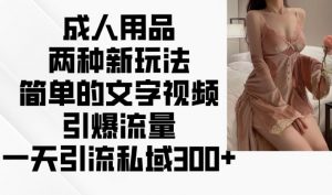 成人用品两种新玩法，简单的文字视频引爆流量，一天引流私域300+-虚拟资源库