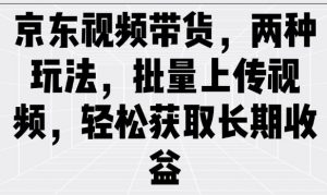 京东视频带货,两种玩法,批量上传视频,轻松获取长期收益-虚拟资源库