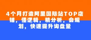 4个月打造阿里国际站TOP店铺，懂逻辑，精分析，会规划，快速提升询盘量-虚拟资源库
