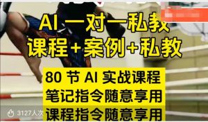 AI指令实战课，课程+案例，80节AI实战课程，笔记指令随意享用，课程指令随意享用-虚拟资源库