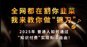 知识付费如何做到月入过W+,2025我来教你做“镰刀”【揭秘】-虚拟资源库