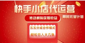 快手小店代运营，被动躺Z收益，收益五五分，单日稳定变现五张【揭秘】-虚拟资源库