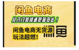 闲鱼电商实战课,从入门到精通秘籍在此,闲鱼电商无货源玩法超燃!-虚拟资源库