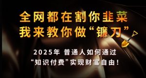 全网都在割你韭菜，我来教你做镰刀，2025年普通人如何通过 知识付费 实现财F自由【揭秘】-虚拟资源库