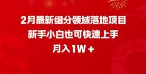 2月最新细分领域落地项目,新手小白也可快速上手,月入1W-虚拟资源库
