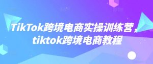TikTok跨境电商实操训练营，tiktok跨境电商教程-虚拟资源库