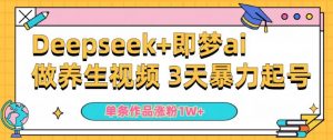 小白用DeepSeek+即梦做ai养生视频,一条作品涨粉5万+,单日收益多张-虚拟资源库