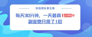 副业她只用了1招,每天30分钟,无脑二创,一天最高1.5k-虚拟资源库