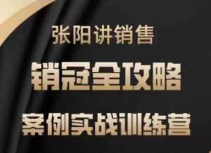 张阳讲销售实战训练营，​案例实战训练，销冠全攻略-虚拟资源库