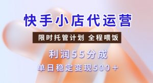 快手小店代运营3.0,模式新升级,收益55分,稳定单日5张【揭秘】-虚拟资源库