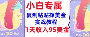 复制粘贴挣美金,0门槛,1天收入95美刀,3分钟学会,内部教程(首次公开)-虚拟资源库
