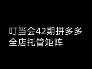 叮当会拼多多打爆班原创高阶技术第42期,拼多多全店托管矩阵-虚拟资源库