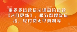 拼多多运营玩法课高阶运营【2月更新】，极致群爆款玩法，轻付费无尽复制等-虚拟资源库