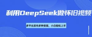 利用DeepSeek做怀旧视频,流量号多渠道变现能力强-虚拟资源库