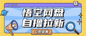 全网首发悟空网盘云真机自撸拉新项目玩法单机可挣10.20不等-虚拟资源库