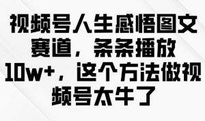 视频号人生感悟图文赛道,条条播放10w+,这个方法做视频号太牛了-虚拟资源库