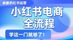 小红书电商全流程,精简易懂,从入门到精通,学这一门就够了-虚拟资源库