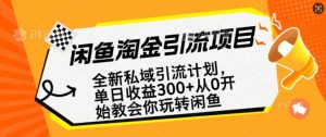 闲鱼淘金私域引流计划，从0开始玩转闲鱼，副业也可以挣到全职的工资-虚拟资源库