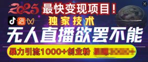 欲罢不能的无人直播引流，超暴力日引流1000+高质量精准创业粉-虚拟资源库